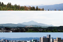 最新の医師会報表紙