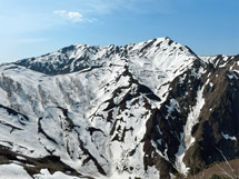 最新の医師会報表紙